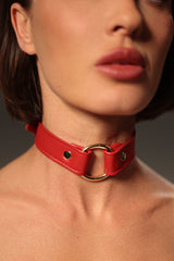 Rotes Halsband mit Ring