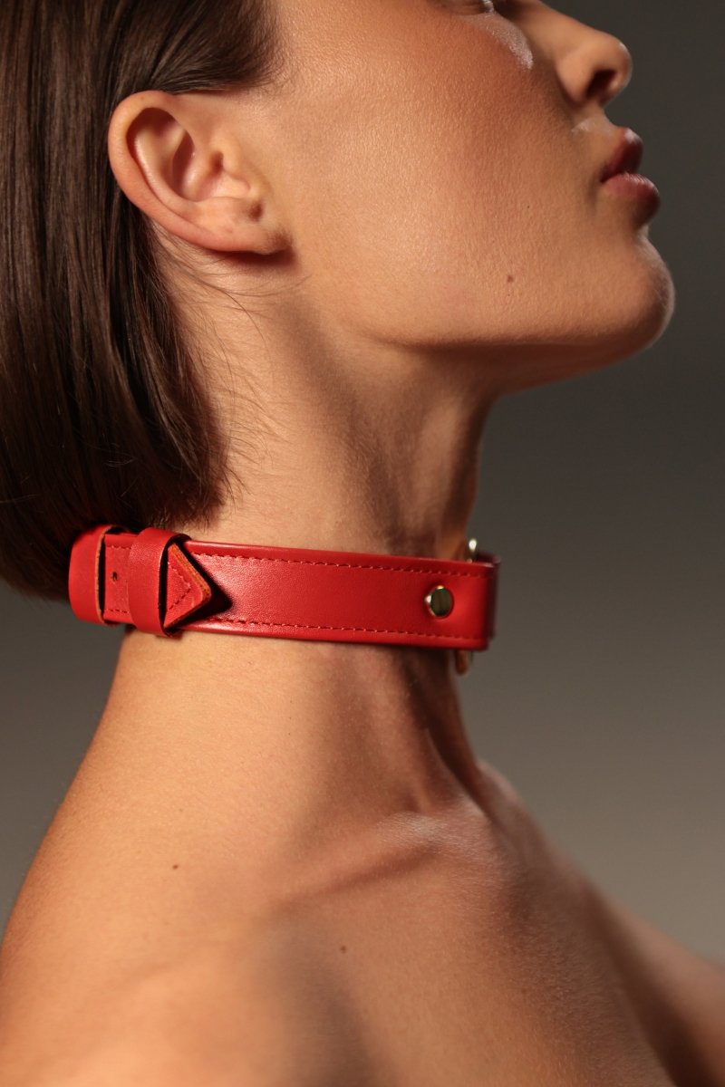 Rotes Halsband mit Ring