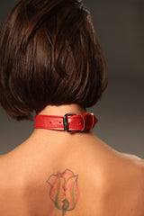 Rotes Halsband mit Ring