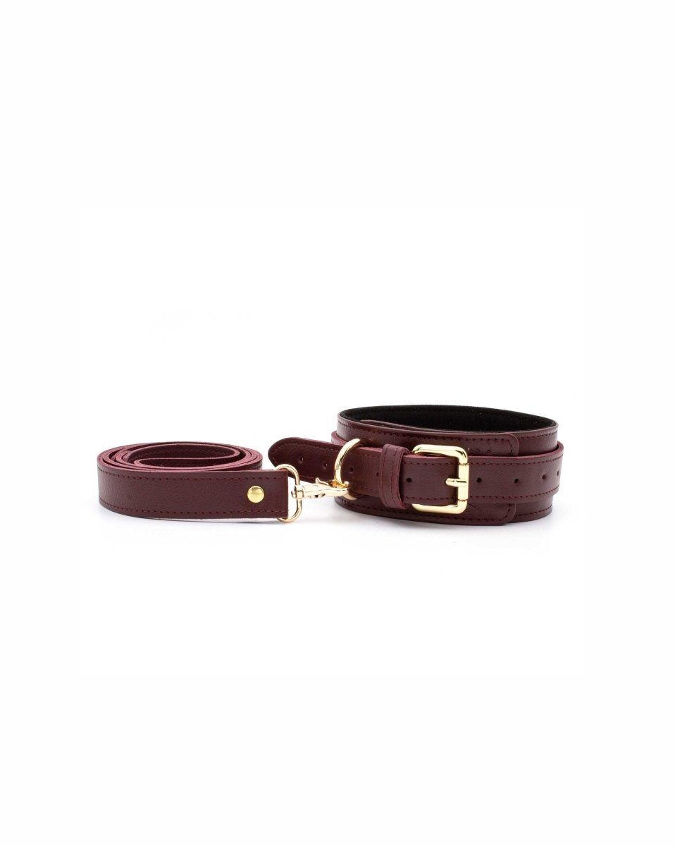 Burgundy Collar with Leash