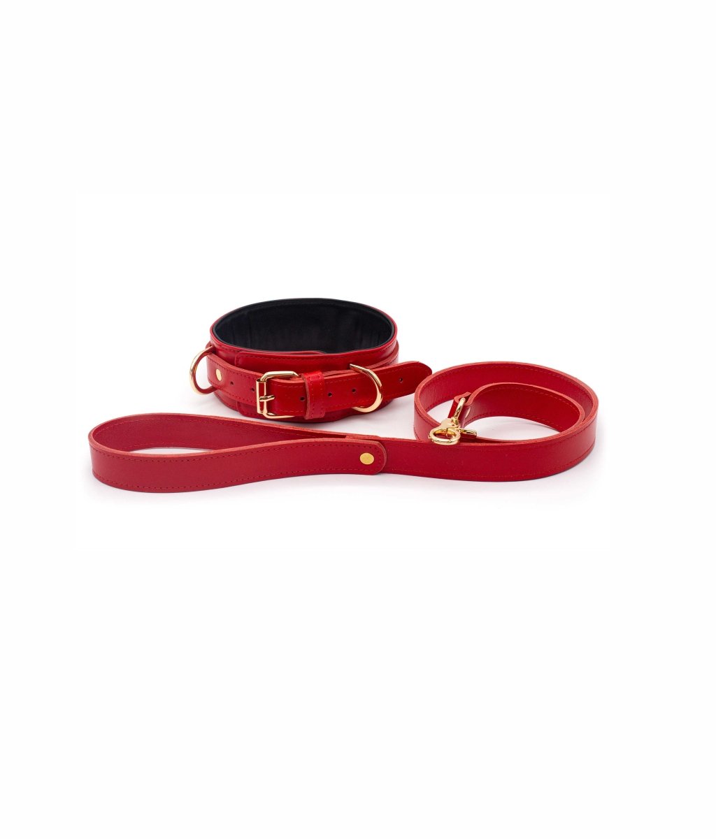 Burgundy Collar with Leash