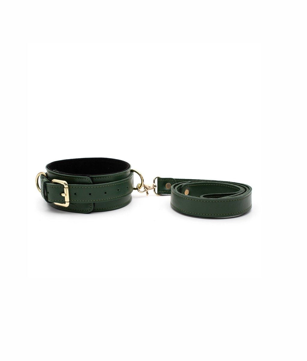 Black Collar with Leash