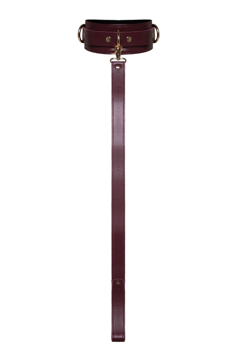 Burgundy Collar with Leash