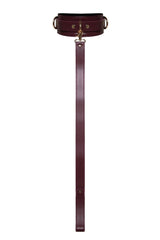 Burgundy Collar with Leash